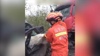 车祸现场消防员救出司机，顺带从后座拽出一只羊