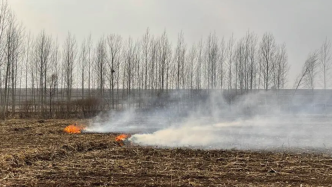 黑龍江省生態環境廳再次啟動約談：堅決遏制露天焚燒秸稈現象