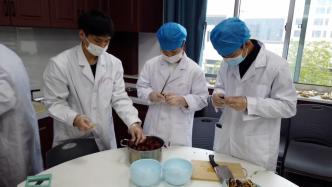 高校醫(yī)學(xué)生自制秋梨膏分同學(xué)品嘗：學(xué)以致用，做了改良