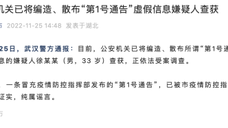 武汉警方：已将编造散布“第1号通告”虚假信息嫌疑人查获