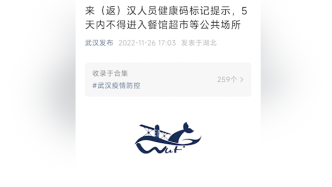 武汉市将对来汉人员健康码标记提示，5天内不得进入公共场所