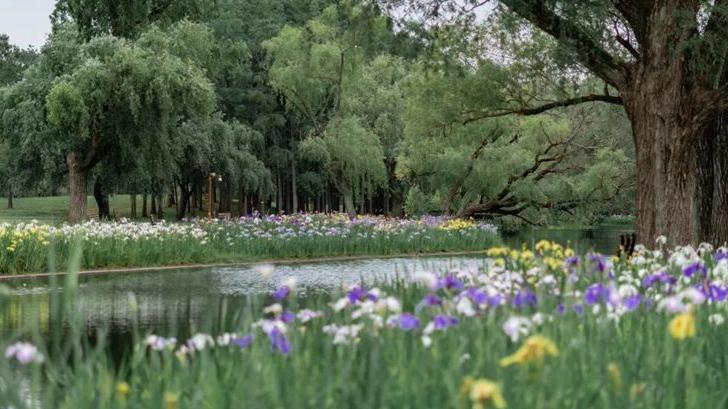 上海2022年“公园十大特色植物区”名单出炉