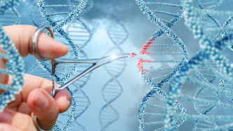 新“基因魔剪”按需敲入长DNA序列，或可治疗多突变疾病