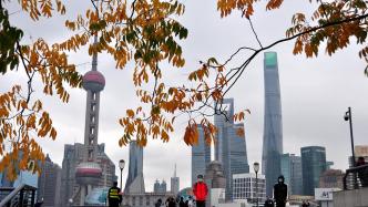 上海发寒潮蓝警，预计未来48小时内最低温下降12至14℃