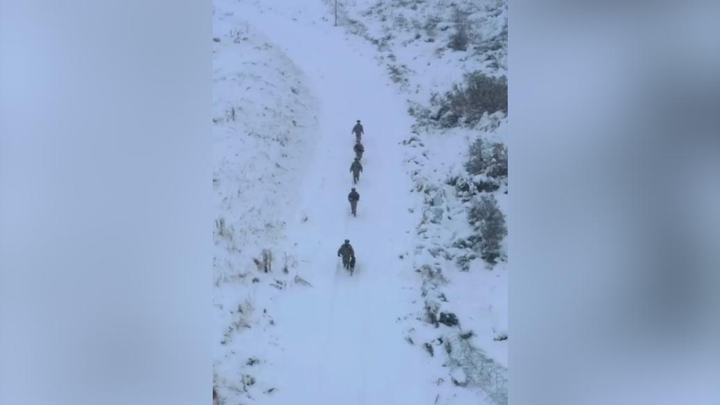 軍犬踏雪巡邏擁抱界碑