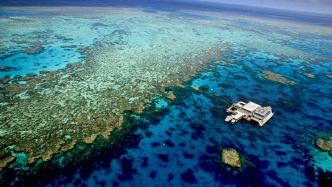 联合国教科文组织建议将澳大利亚大堡礁列为濒危世界遗产