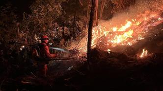 国家森防指办公室：对4起森林火灾挂牌督办，要求严肃追责
