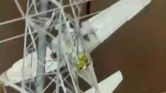 美国一载2人小型飞机撞上高压电缆线，致周边大规模停电