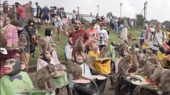 泰国小城办一年一度“猴子节”：猴子享用“自助餐”