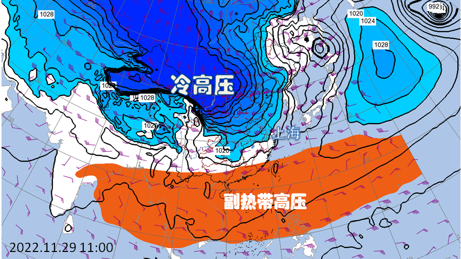 “湿冷魔法”发起攻击，上海明天4-6℃或见初雪