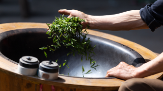 “中国传统制茶技艺”申遗成功：茶叶之路亦是文化传播之路