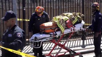 报告显示去年美国每10万人约有14.7人死于涉枪事件
