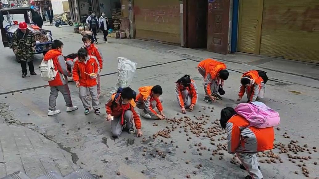 核桃散落路面，十多名小学生帮男子捡起