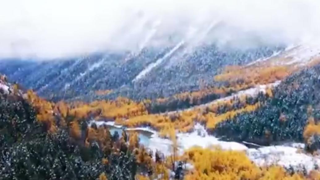 雪景+彩林，四川彩林白雪双拼模式