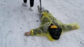 孩子走不动躺雪地，爸爸用绳绑脚拉下山