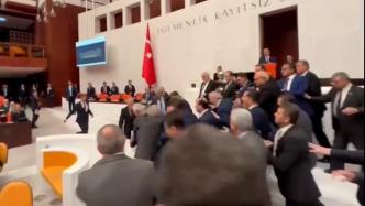 因预算问题爆发冲突，土耳其议员打群架