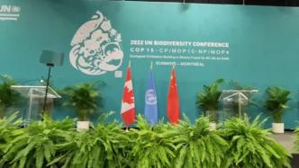 探访《生物多样性公约》第十五次缔约方大会第二阶段会议会场