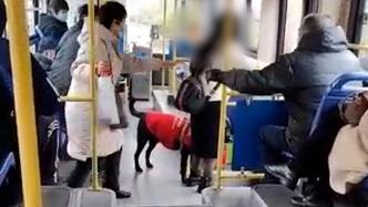 女子携导盲犬乘公交，大爷大妈主动招呼女子入座