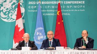 欧盟委员会答澎湃：生物多样性应被各国列入国家发展计划