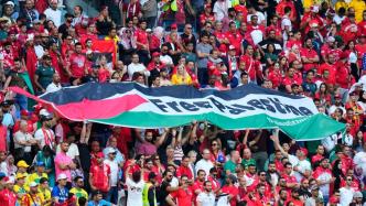 巴勒斯坦驻联合国代表：世界杯胜者已经诞生，就是巴勒斯坦！