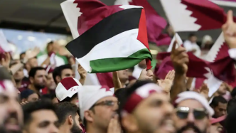 巴勒斯坦驻联合国代表：团结的阿拉伯球迷击碎了以色列的幻想