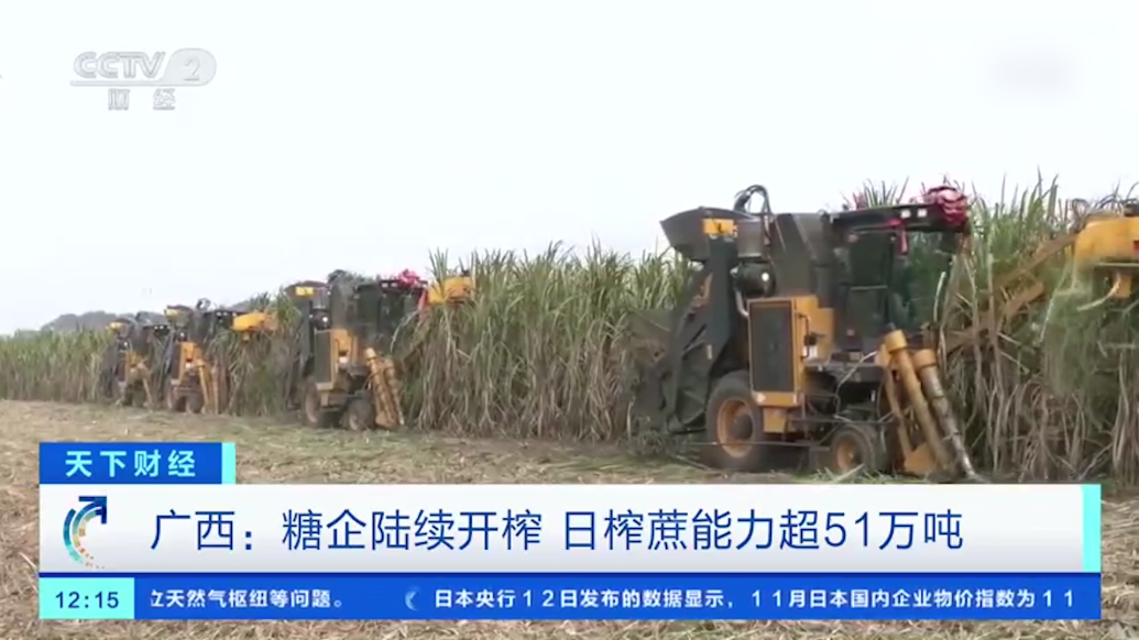 全国60%糖料甘蔗来自广西，日榨蔗能力超51万吨