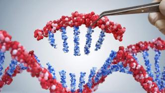 改良版CRISPR基因编辑技术“治愈”白血病女童，全球首例