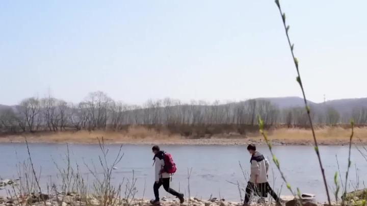 萬鳥翔集,吉林琿春敬信濕地成候鳥“越冬天堂”