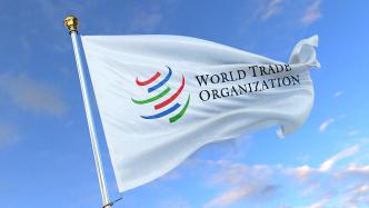 世贸组织成员严厉批评美国贸易政策，要求其放弃单边主义保护主义