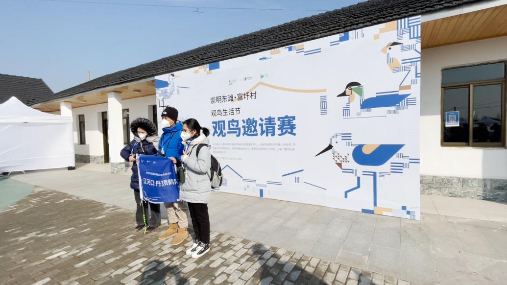 罕見鳥類悉數現身,上海崇明東灘觀鳥季開始啦!