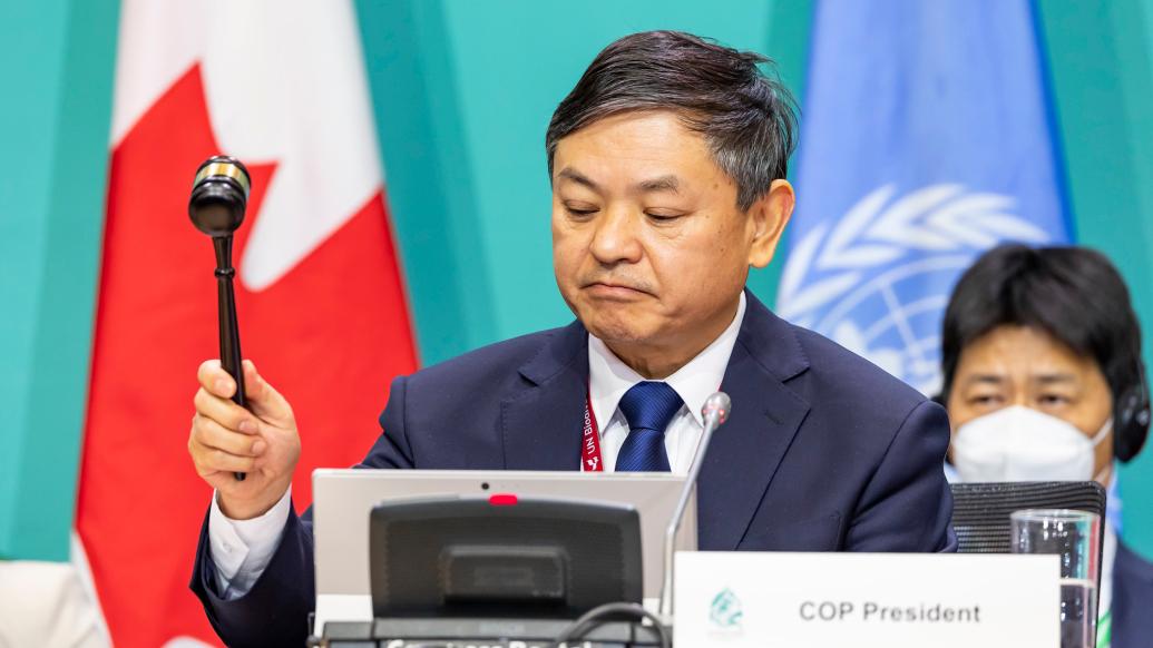 观察｜COP15通过框架协议背后：博弈与扭转自然危机的期待