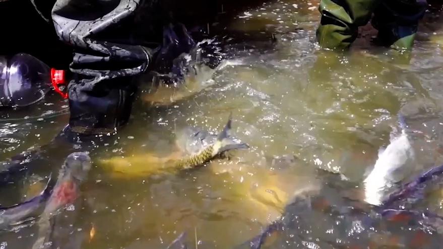 內蒙古呼和浩特：生態養殖保水源