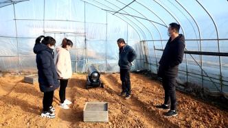 衢州农科院送来免费“暖风机”，助力农户防范低温冻害