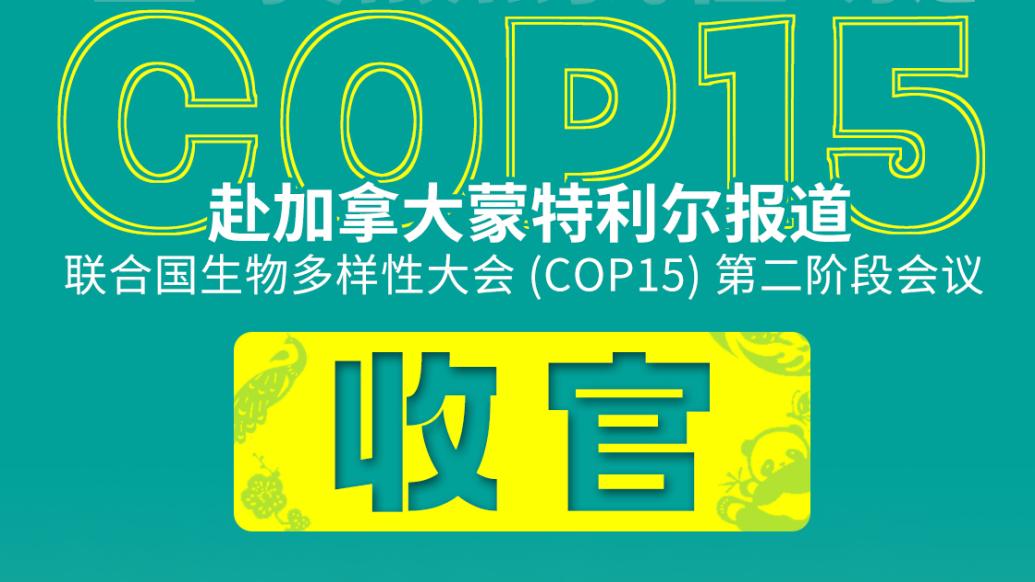 h5|年终特辑:里程碑式框架协议达成!全程回顾cop15高光时刻
