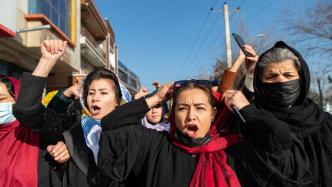 阿富汗女性被禁入大学后，有男生罢考、男教师辞职以示反对