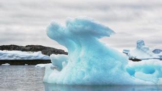 研究：约65%的南极洲本土物种恐在本世纪末消失