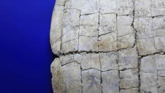 河南安陽將分批推出未釋讀甲骨單字：認(rèn)出一個(gè)字獎(jiǎng)勵(lì)10萬元