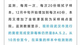 武汉疾控：目前武汉流行的奥密克戎变异毒株仍为BA.5.2