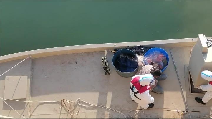 假游釣真走私!廣西防城港海警局查獲一起走私香煙案