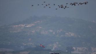 韩军方部署20架战斗机追捕“越境无人机”，结果发现是鸟群