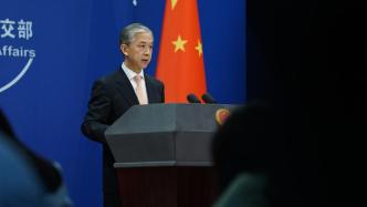 外交部：多国表示不调整对中国入境旅客检验措施