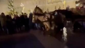 俄罗斯圣彼得堡马匹受惊伤人