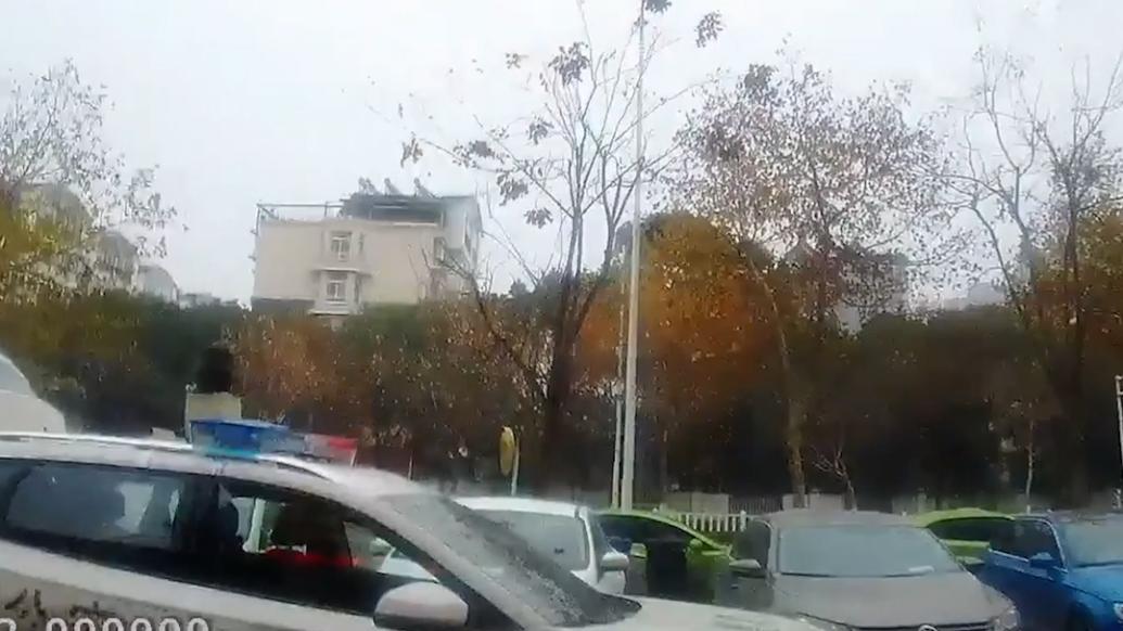 幼隼受傷墜落，警民攜手救助
