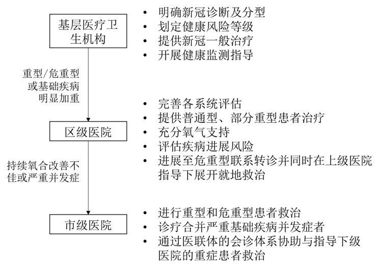 《上海市新型冠状病毒感染诊治规范与分级诊疗流程》发布