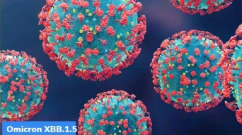 專家回應(yīng):感染XBB.1.5會大便失禁無科學(xué)依據(jù)
