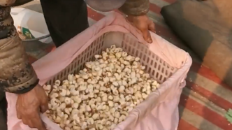 济南柳埠大集：传统爆米花炸出满满年味