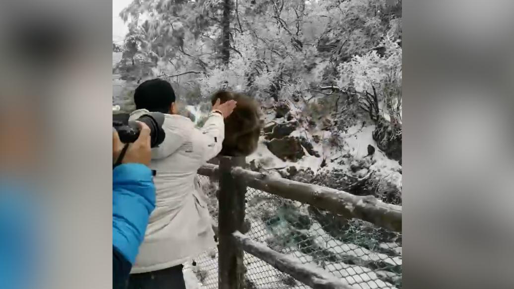 峨眉山猴子遭游客“偷袭打脸”，工作人员：属于违法行为