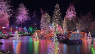 “打卡”梦幻的光影世界：温哥华范度森植物园冬季灯展