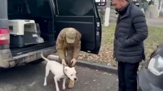 车臣领导人将亚速钢铁厂被救的斗牛犬归还给乌克兰原主人