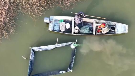 江苏兴化大纵湖畔冬季捕蟹迎新年